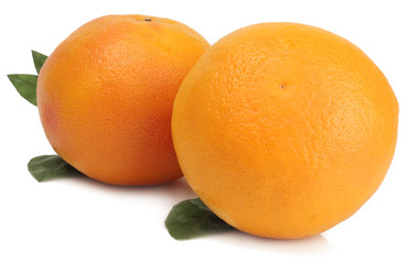 Grapefruit isolated on white background