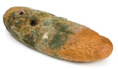 Moldy bread isolated on white background