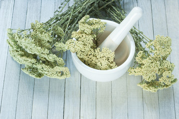 Yarrow