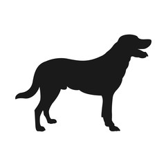 dog silhouette. Vector