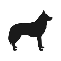 dog silhouette Husky. Vector © studiographicmh