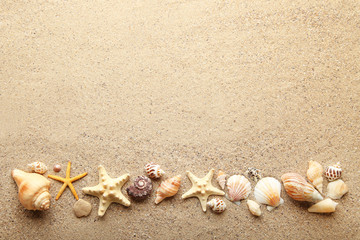Fototapeta na wymiar Seashells and starfishes on beach sand