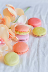 Colorful france macarons on white table background