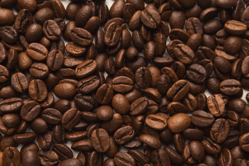 Closeup of coffee seeds, textured background