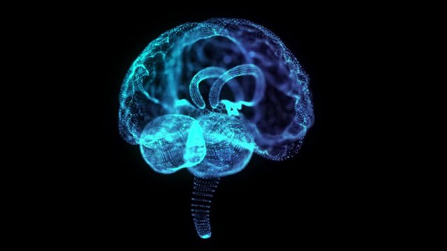 Rotating 360 degree hologram of human brain. Glowing blue light particles point of human brain model. Seamless looping motion animated neurons in 3d virtual space.