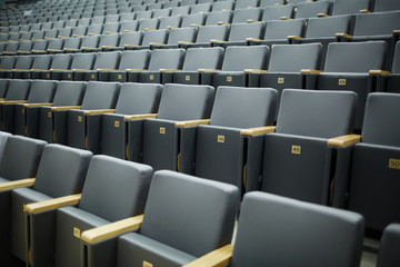 Several rows of numbered armchairs in auditorium or conference hall of contemporary institution