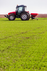 Fototapeta premium Farmer in tractor fertilizing wheat field at spring with npk