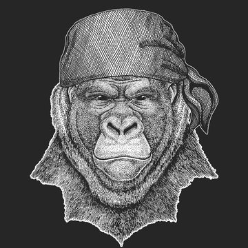 Gorilla, monkey, ape Cool pirate, seaman, seawolf, sailor, biker animal for tattoo, t-shirt, emblem, badge, logo, patch. Image with motorcycle bandana