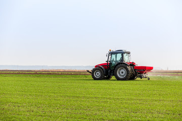 Farmer in tractor fertilizing wheat field at spring with npk