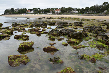 Plage des Souzeaux à marée basse à Noirmoutier, France