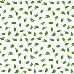 Falling leaves on white background. Seamless nature pattern.