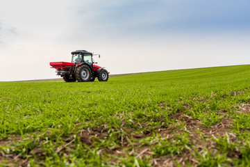 Farmer in tractor fertilizing wheat field at spring with npk