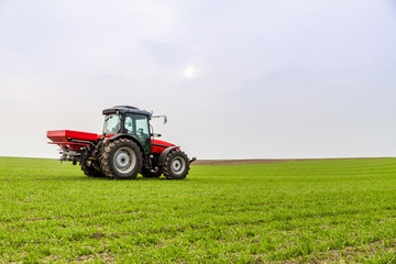 Farmer in tractor fertilizing wheat field at spring with npk