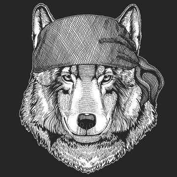 Wolf Dog Cool pirate, seaman, seawolf, sailor, biker animal for tattoo, t-shirt, emblem, badge, logo, patch. Image with motorcycle bandana