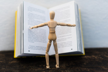 wooden toy in the image of a man on the background of a book