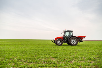 Obraz premium Farmer in tractor fertilizing wheat field at spring with npk