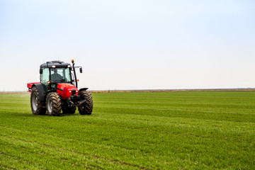 Fototapeta na wymiar Farmer in tractor fertilizing wheat field at spring with npk
