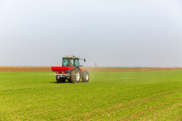 Farmer in tractor fertilizing wheat field at spring with npk