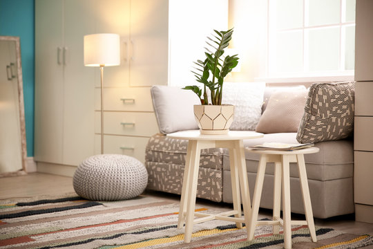 Stylish living room interior with comfortable sofa