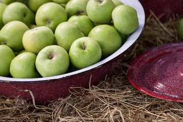 ripe green apples harvested in a washbowl, harvest in a village or homestead