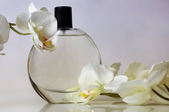 Profumo