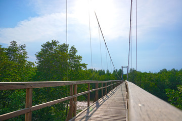 Suspension bridge used for walking for tourism.