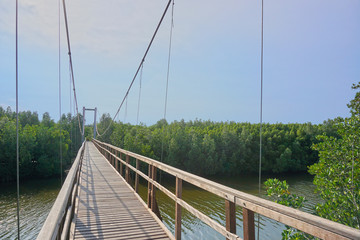 Fototapeta na wymiar Suspension bridge used for walking for tourism.