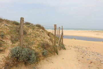 Vue océan plage des Landes Moliets embouchure du courant d'Huchet avec barrière protection de la dune