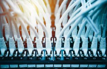 Close up ethernet cable in a row , datacenter concept , networking