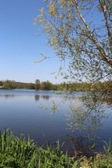 Au bord du lac et végétation temps ensoleillé et ciel bleu reflets dans l'eau