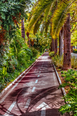 Exotic bicycle track - Malaga city, Spain
