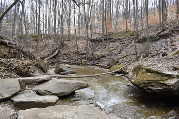 Forest landscape with a river in a forest in Cuyahoga National Park near Cleveland in Ohio, USA