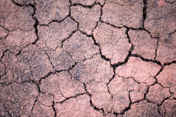 Closed up of dry break land, nature background concept.