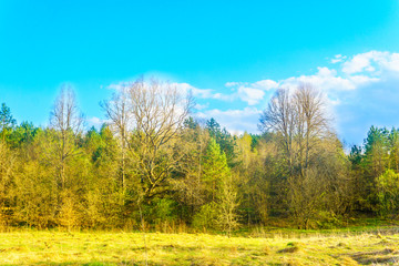 Fototapeta premium Spring landscape in Europe