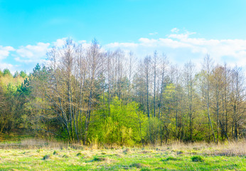 Spring landscape in Europe