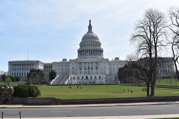 Closeup of big white Capitol in Washington D.C. in the USA