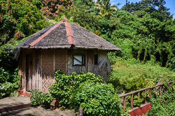 Fototapeta na wymiar Small wooden house in the jungle