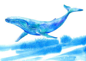 Big Blue Whale and wave .Watercolor hand drawn illustration.Underwater animal art. White background.