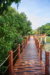 Wooden bridge through the mangrove forest