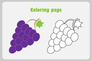 Grape in cartoon style, coloring page, education paper game for the development of children, kids preschool activity, printable worksheet, vector illustration