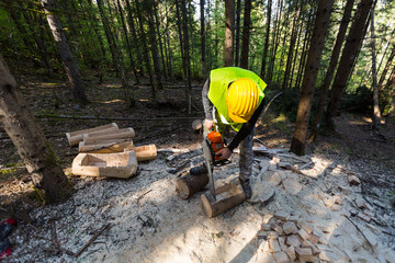 Lumberjack working in the forest.Man at work