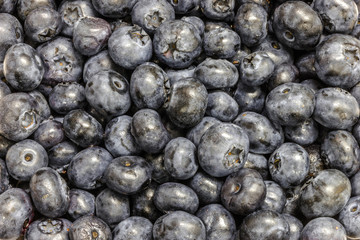 Juicy ripe blueberry texture background close-up view