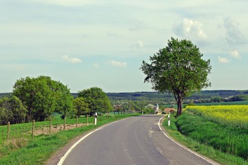 Idyllische Landstraße 