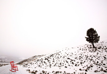 Lamar Valley Winter