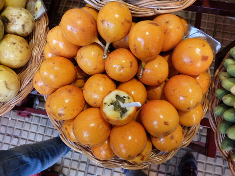 Funchal et Cani&ccedil;o (Mad&egrave;re)