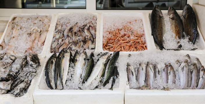 Fish market stall with freshly caught blue whiting, skipjack tuna, Atlantic mackerel, cuttlefishes and squids, shrimps.