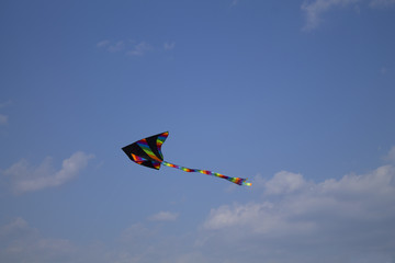 Kite flying in the sky