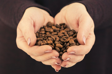 Hands of a young woman holding in their palms roasted, fragrant, golden coffee beans on a dark background