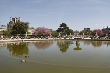 Bassin du Jardin des Tuileries à Paris	