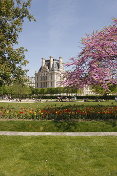 Pelouse du Jardin des Tuileries à Paris	